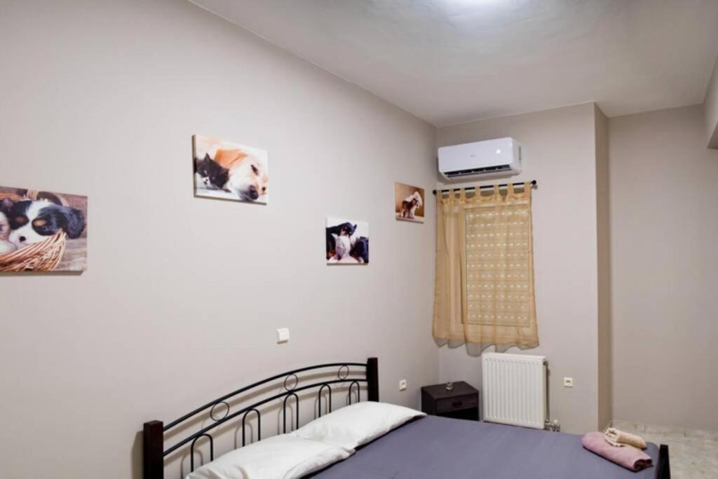 Chalkis Green Leaf House Διαμέρισμα Εξωτερικό φωτογραφία
